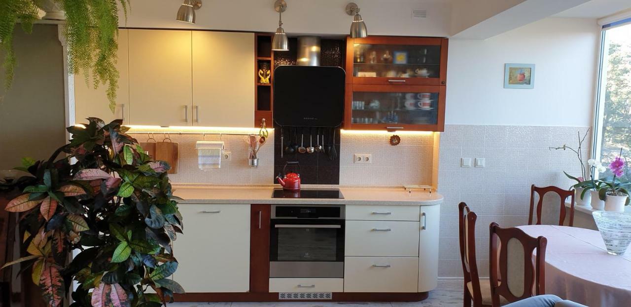 Family Apartment نيدا المظهر الخارجي الصورة